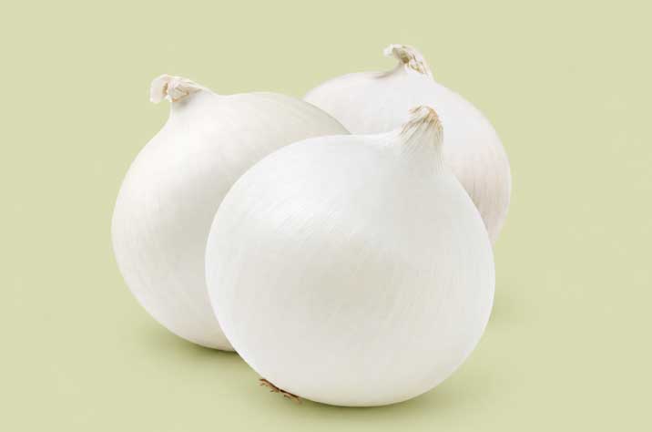 cebolla blanca