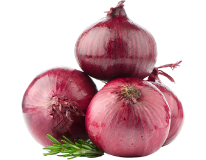 Cebollas