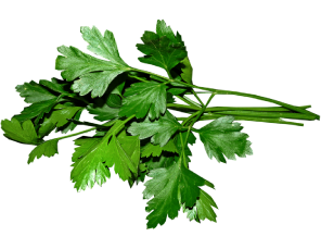 Hojas verdes