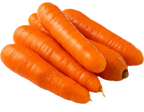 Zanahoria